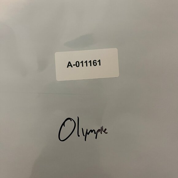 Vintage 1996 Atlanta Olympics Fanny Pack Multi Color Adjustable Waist - Picture 7 of 7